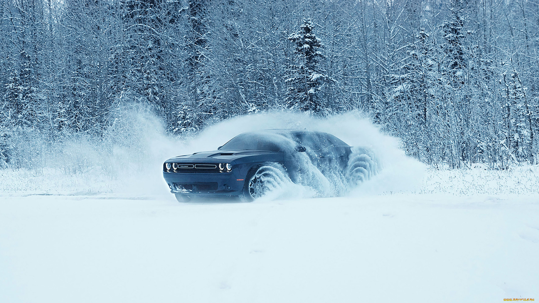 dodge challenger gt-awd 2017, , dodge, 2017, gt-awd, challenger